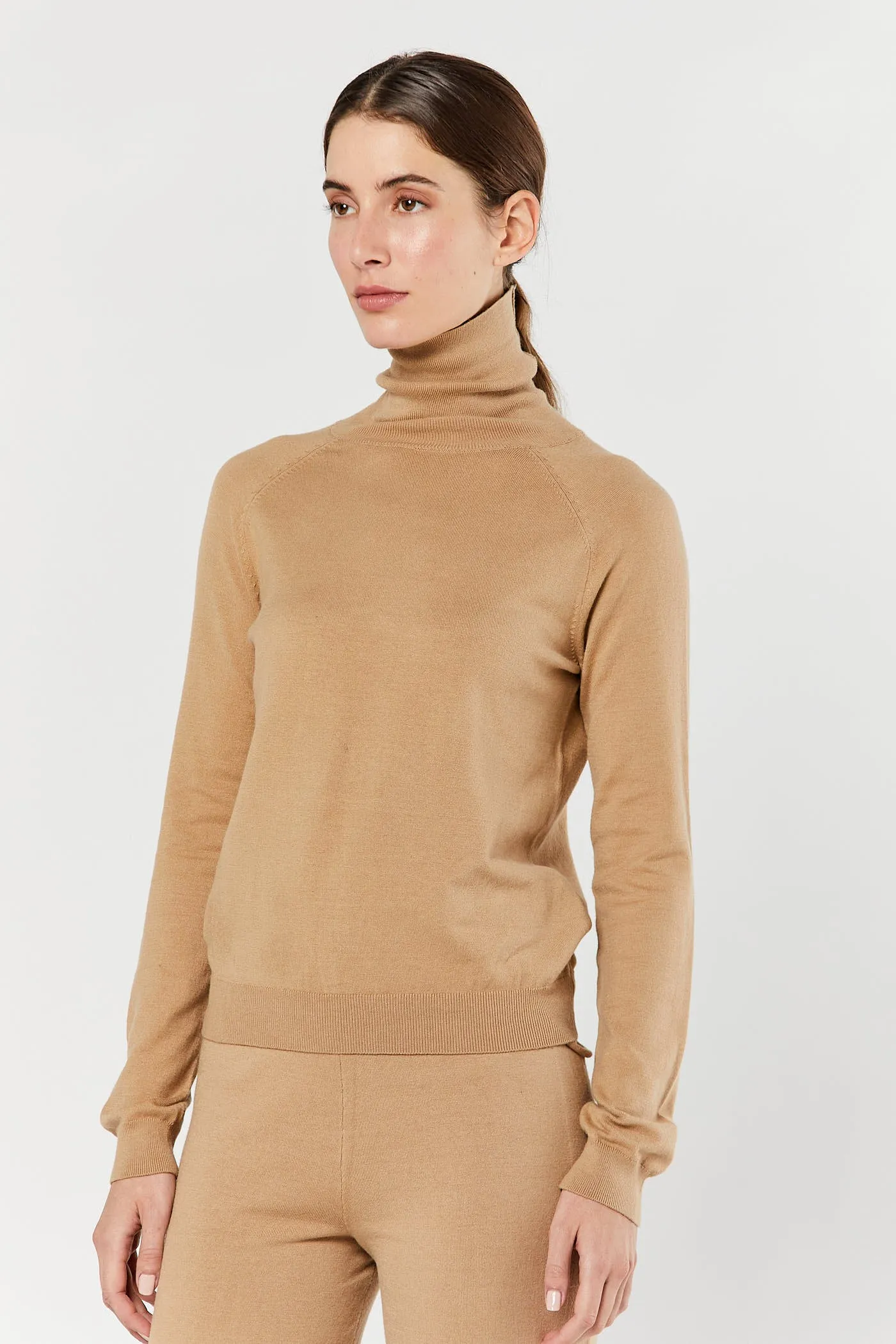 Camel Long Sleeve Turtleneck
