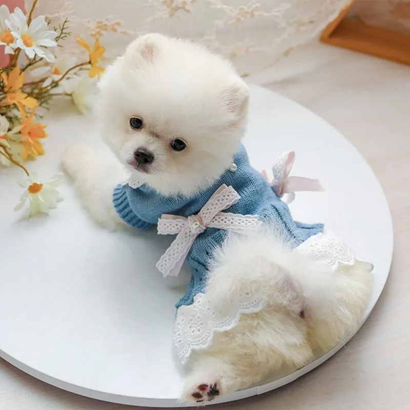 Sweet Lace Dog Sweater Dress
