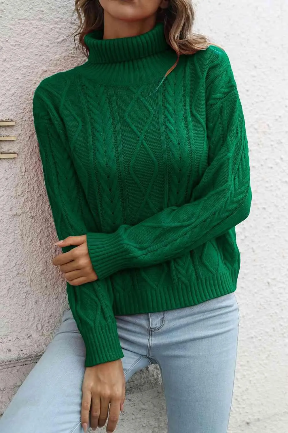 Winter Staple Crew Neck Knit Turtleneck Sweater