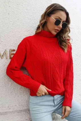 Winter Staple Crew Neck Knit Turtleneck Sweater